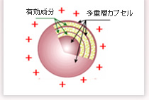 なぜ正電荷化するの？