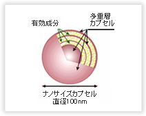 リポソームは何が良いの？ 