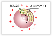 なぜ正電荷化するの？